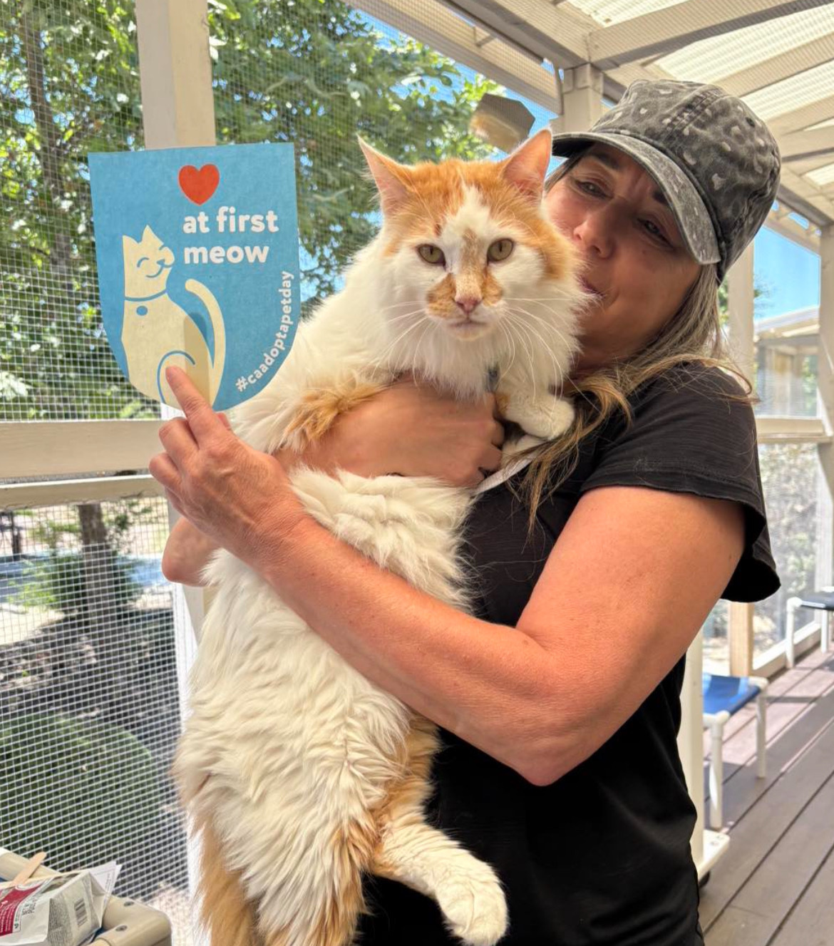 A woman holding a fluffy orange-and-white cat indoors holding a sign that says "at first meow"