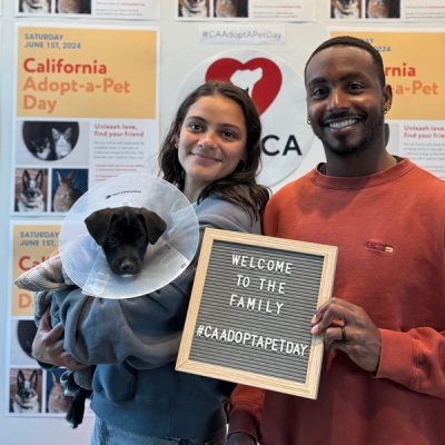 Man and woman smiling indoors at a California Adopt-a-Pet Day event, holding a black puppy in a cone and a sign that reads ‘Welcome to the family #CAAdoptAPetDay