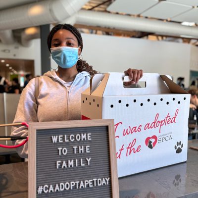Woman wearing a face mask standing behind a counter with a pet carrier box that reads ‘I was adopted at the San Francisco SPCA’ and a sign saying ‘Welcome to the family #CAAdoptAPetDay