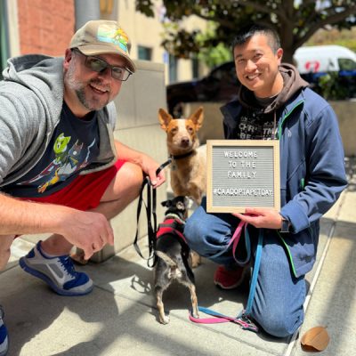 Two men kneeling outdoors with two dogs, one holding a sign that reads ‘Welcome to the family #CAAdoptAPetDay