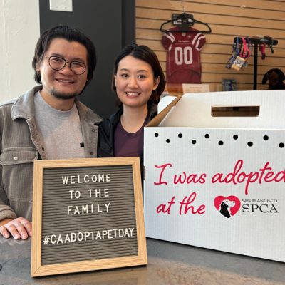 Man and woman smiling indoors beside a pet carrier box that reads ‘I was adopted at the San Francisco SPCA,’ holding a sign that says ‘Welcome to the family #CAAdoptAPetDay.’